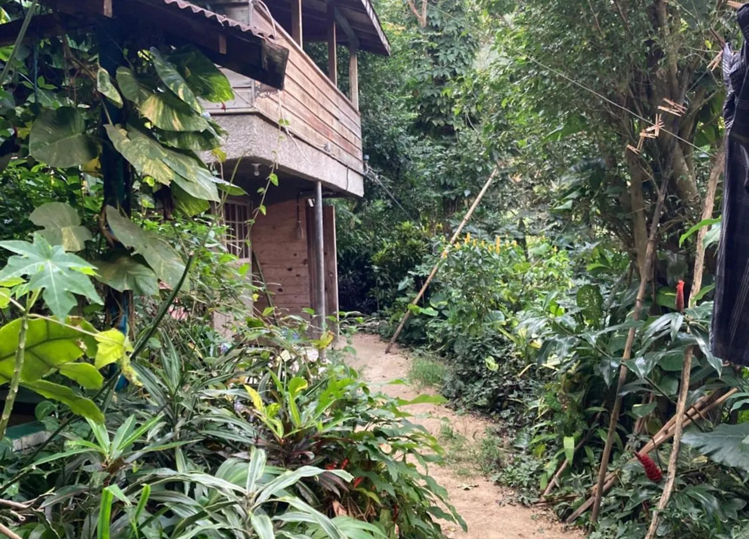 Landsted Blue Mountain Retreat Pensionat Kingston